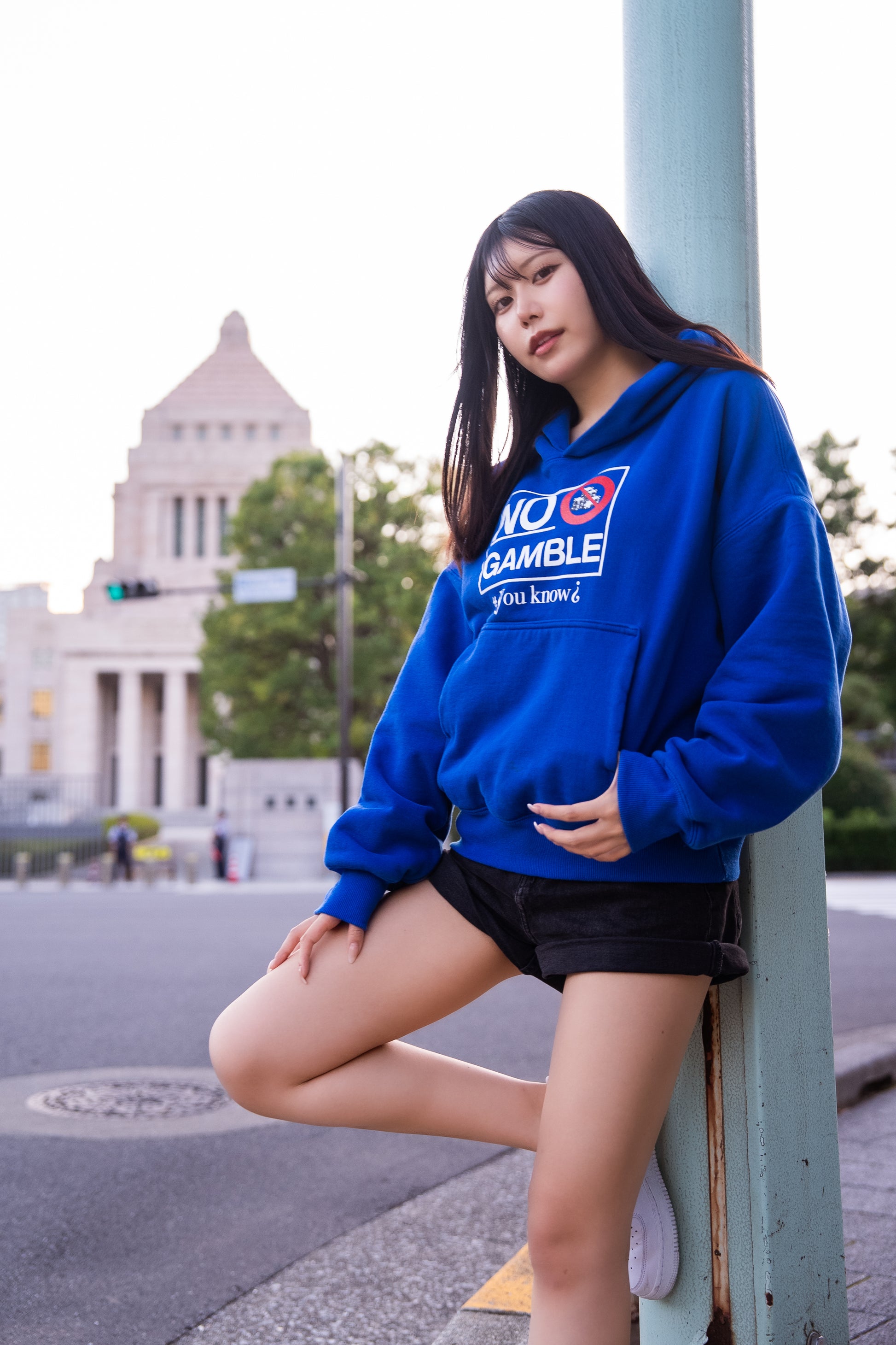 日本の賭博市場(blue)