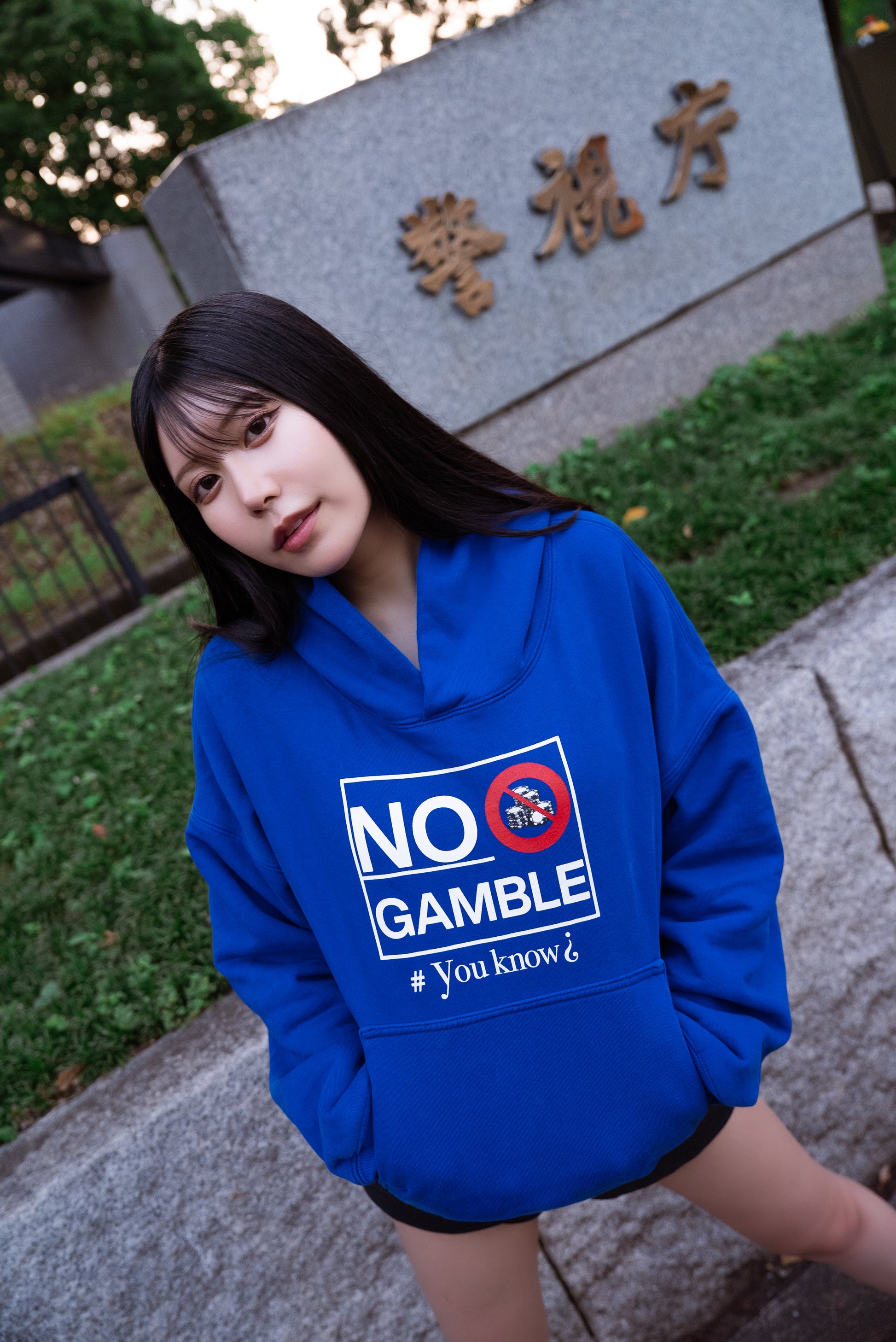 日本の賭博市場(blue)