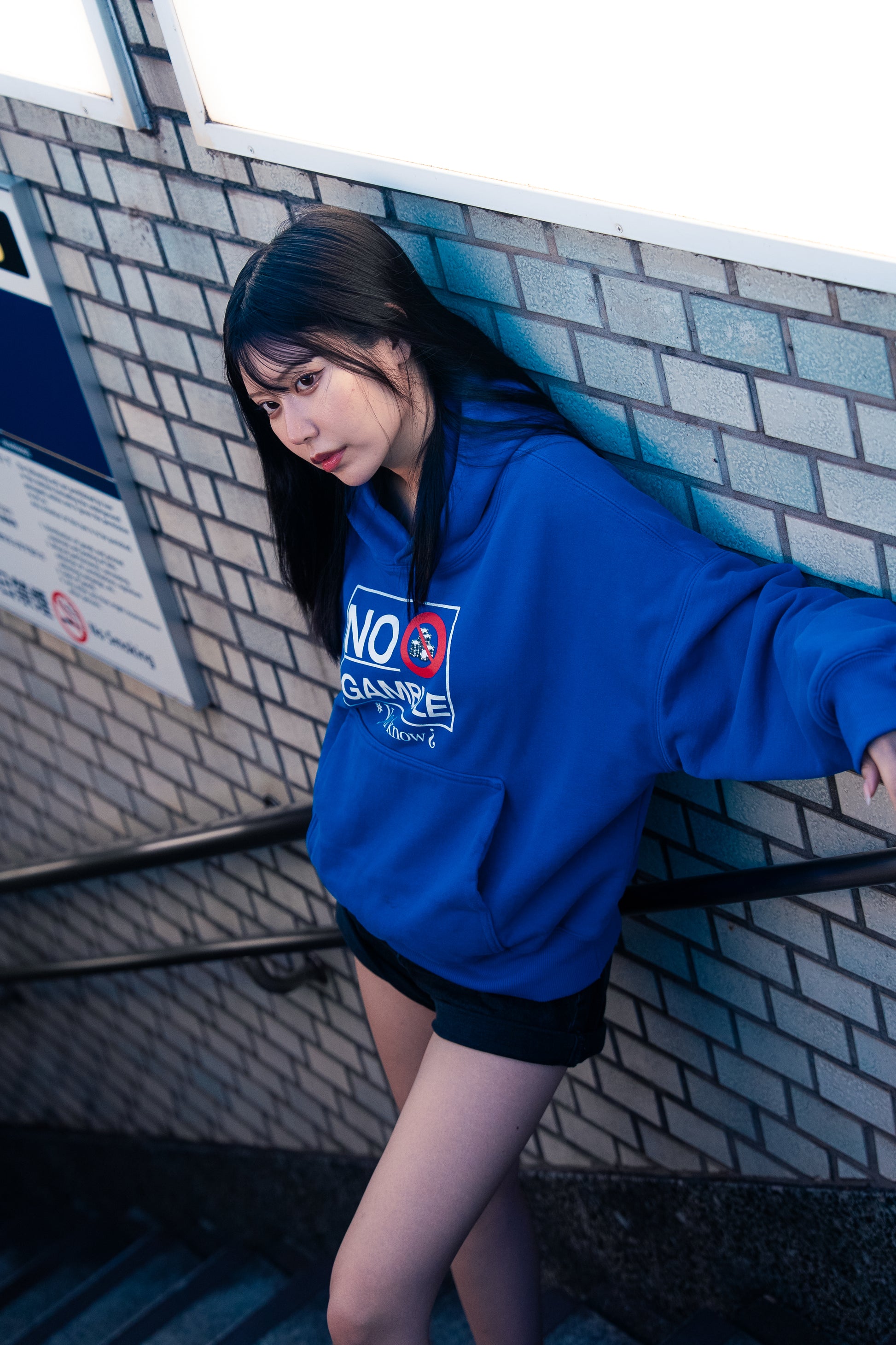 日本の賭博市場(blue)