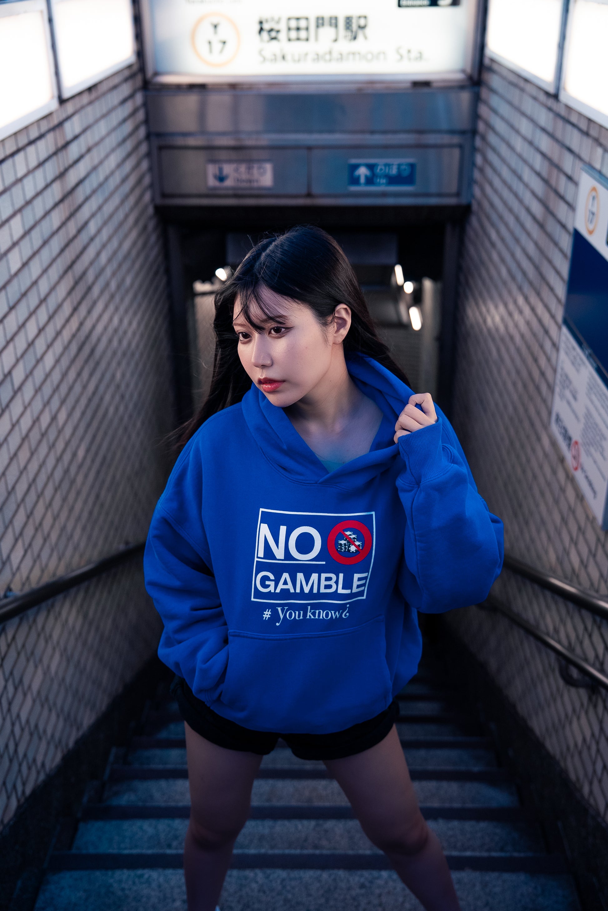 日本の賭博市場(blue)