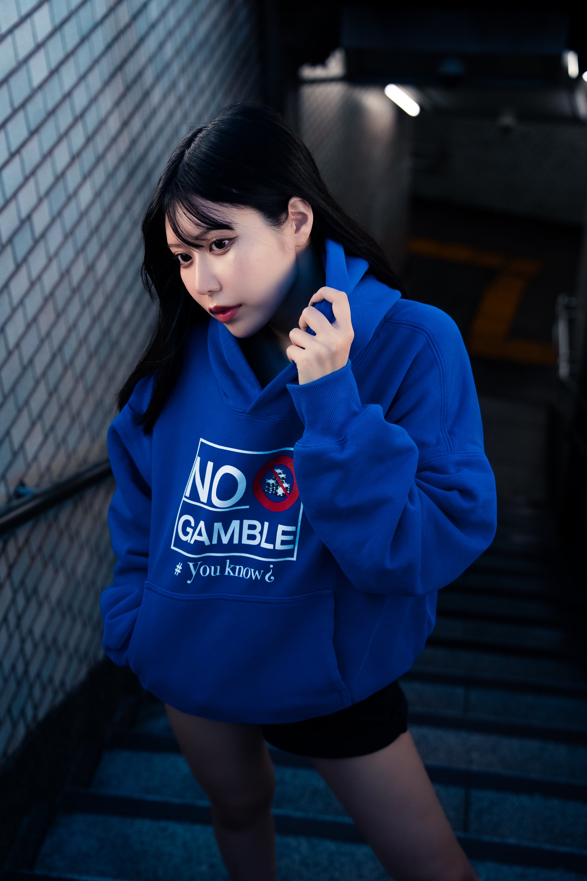 日本の賭博市場(blue)