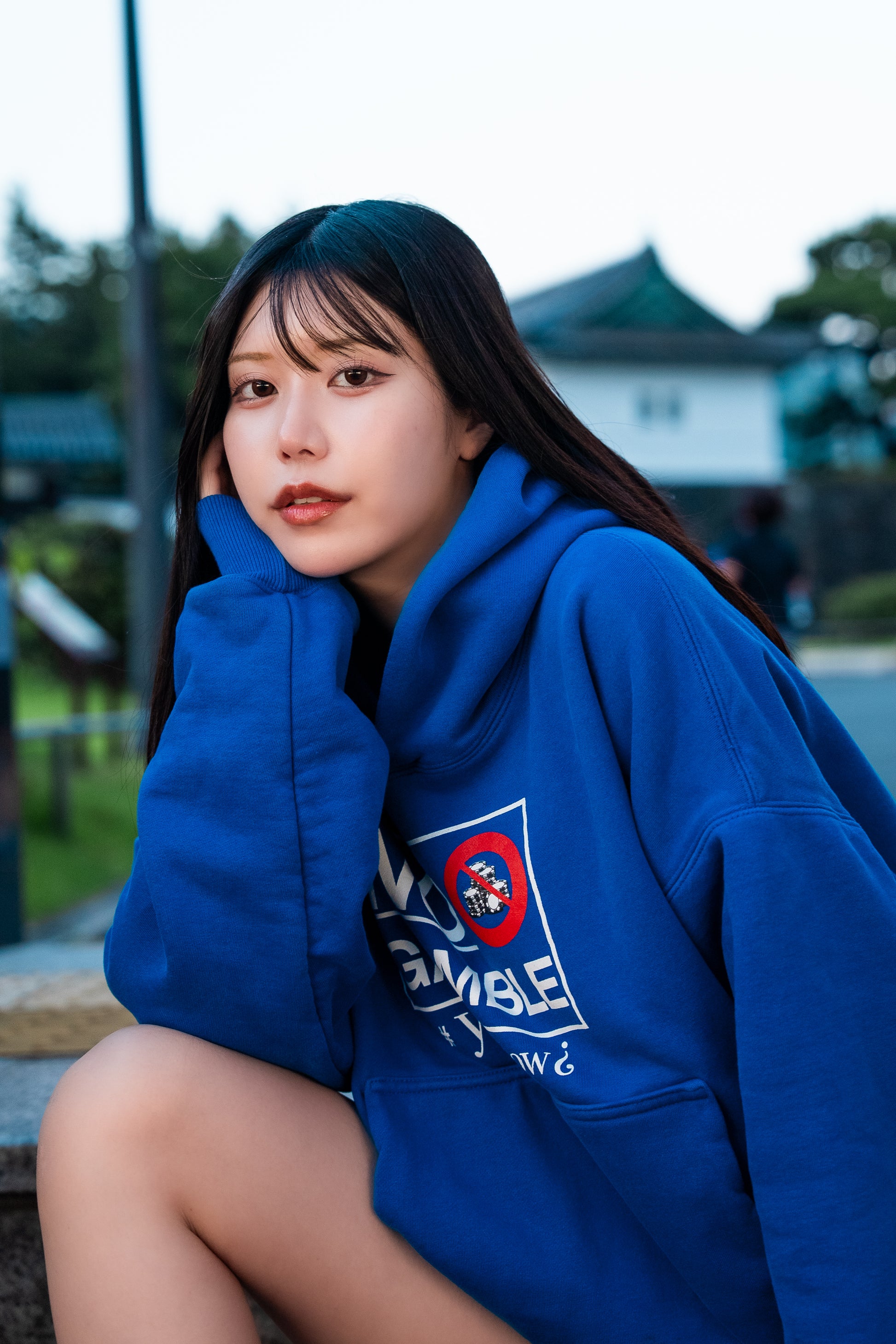 日本の賭博市場(blue)